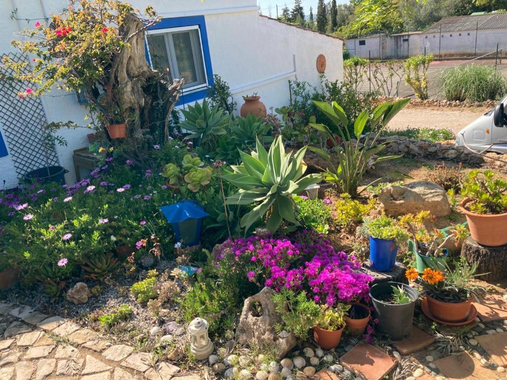 Casa Joy Villa Guia  Dış mekan fotoğraf